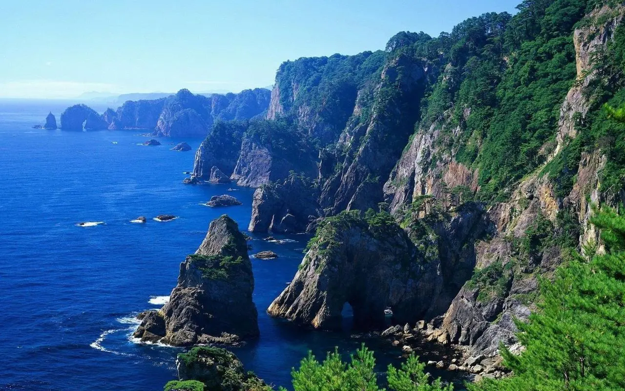 高性能独特